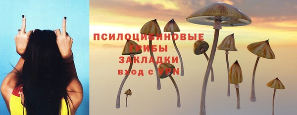 твердый Богородицк
