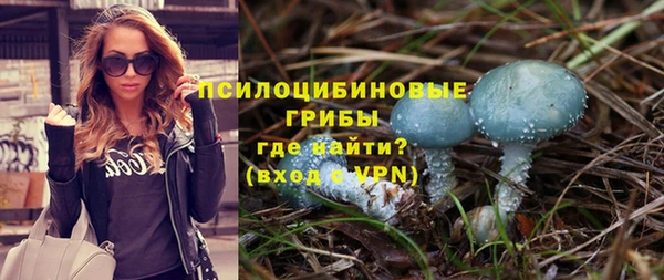 твердый Богородицк